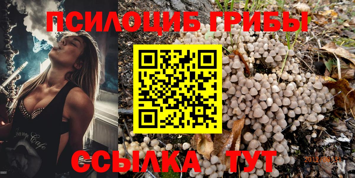 Галлюциногенные грибы прущие грибы  Вход с VPN  Борисоглебск 